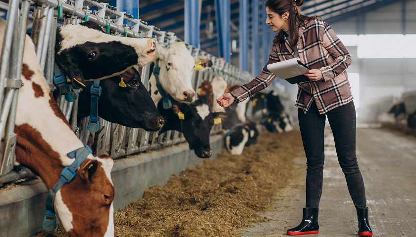 Feed-and-Animal-Nutrition